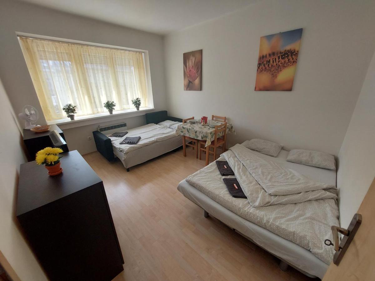 Apartmán v centre Bratislavy Bratislava Esterno foto